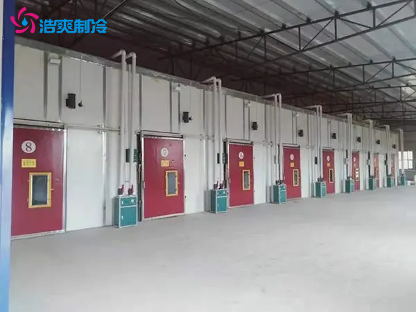 建造300立方米水果氣調(diào)保鮮冷庫(kù)大概多少錢(qián)？