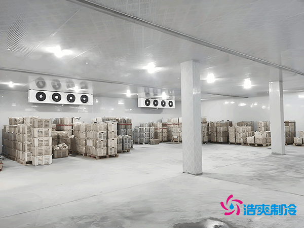 食品廠冷庫設(shè)計(jì)建造
