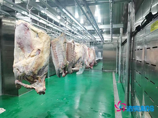 建造一個肉類排酸冷庫安裝造價成本大概多少錢？
