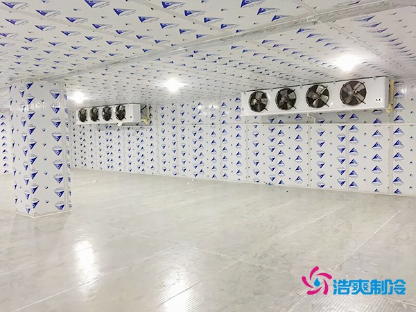 冷庫造價(jià)一平米如何計(jì)算？智能冷庫建造方案再降百元！
