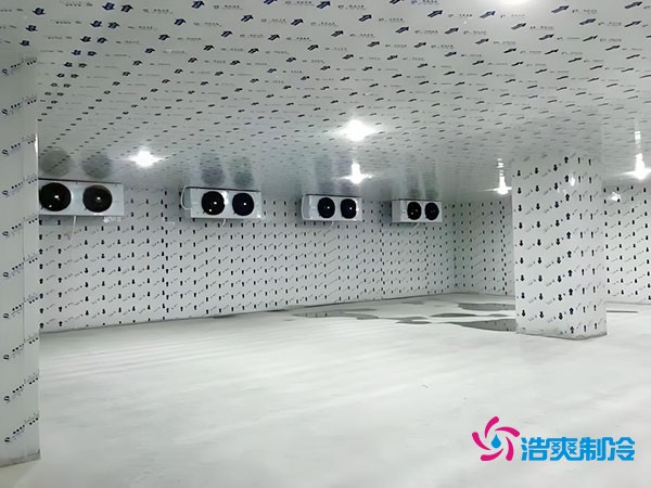 100平米冷凍庫安裝費用及造價多少錢？