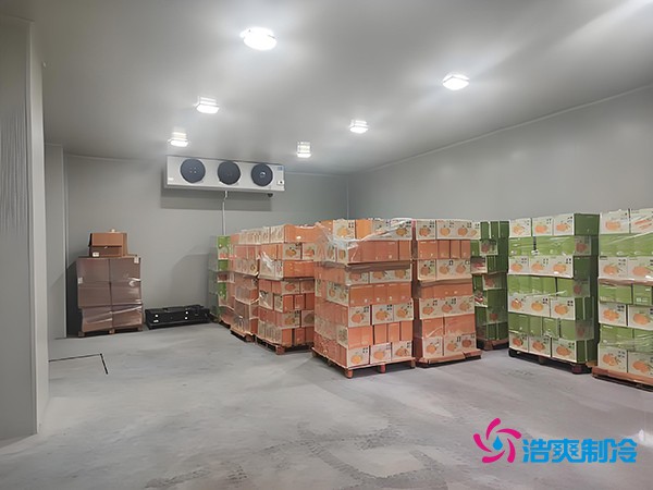 1000噸果蔬保鮮庫造價揭秘，節(jié)省成本就靠這幾點！