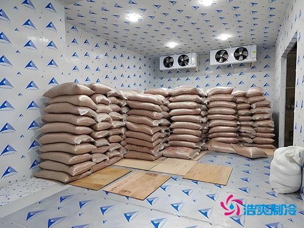 2萬起建種子冷庫？這些因素讓造價翻倍！