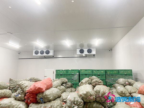 500平果蔬冷庫造價(jià)曝光！35萬起建，省錢秘訣在這里！