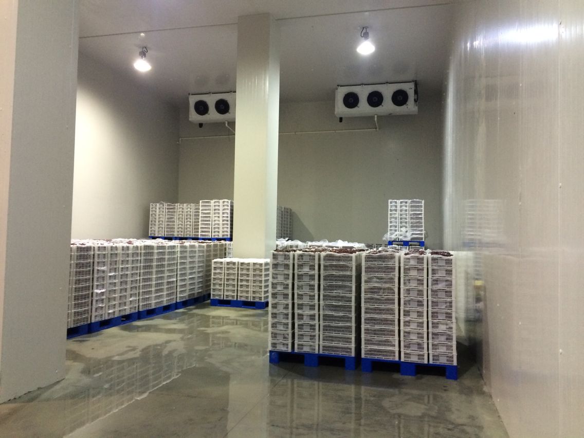 2000噸水果冷庫(kù)，冷庫(kù)安裝費(fèi)用多少