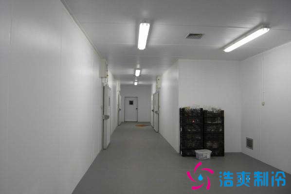 預(yù)建1000噸果蔬冷庫設(shè)計規(guī)劃，冷庫價格多少錢