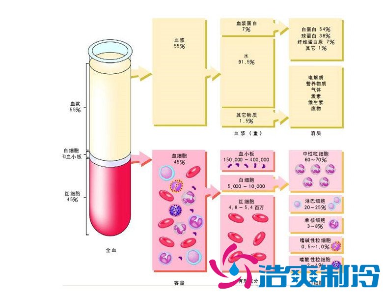-30℃～-80℃血漿蛋白低溫冷凍庫(kù)規(guī)范，冷庫(kù)安裝價(jià)格