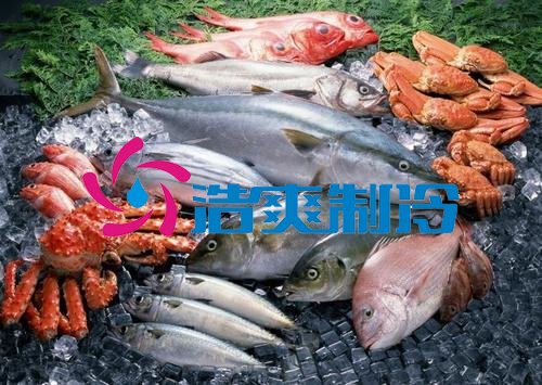 浩爽制冷，海鮮冷凍庫(kù)、食品冷凍庫(kù)